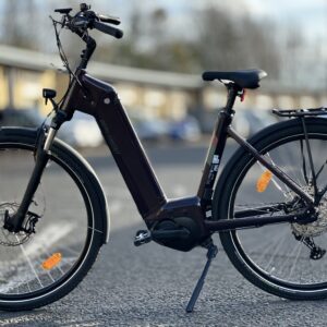 Bergamont E-Horizon Expert 6 Wave