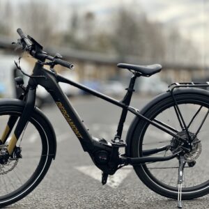 Bergamont E-REVOX RIGID EQ